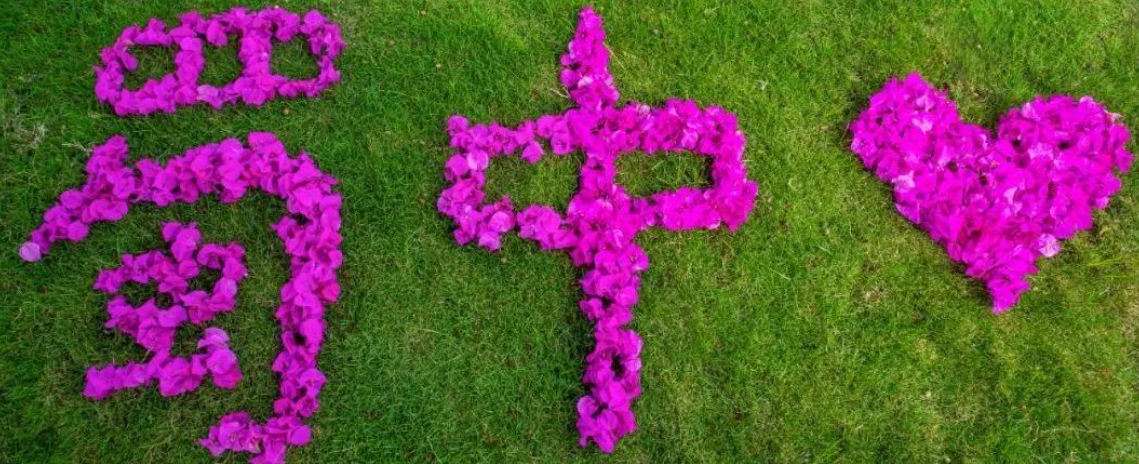 利来w66(中国区)_来利国际旗舰