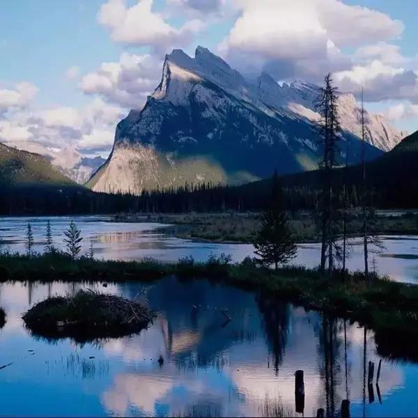 利来w66(中国区)_来利国际旗舰